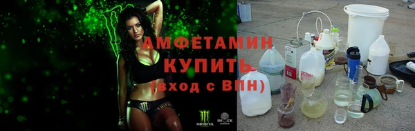 крисы Бронницы