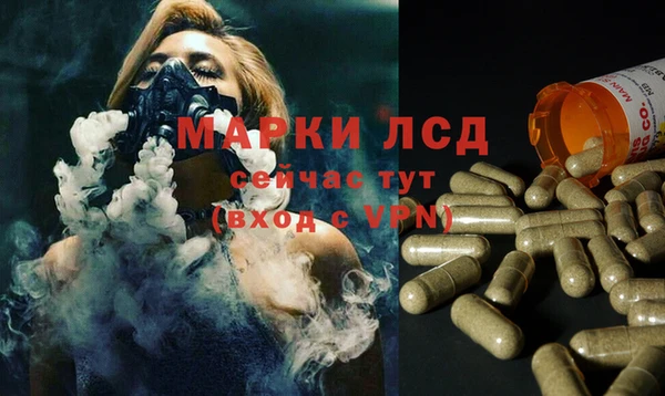 крисы Бронницы