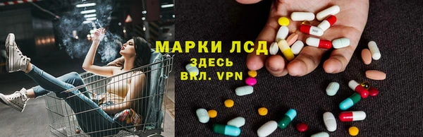 крисы Бронницы