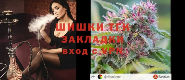 крисы Бронницы