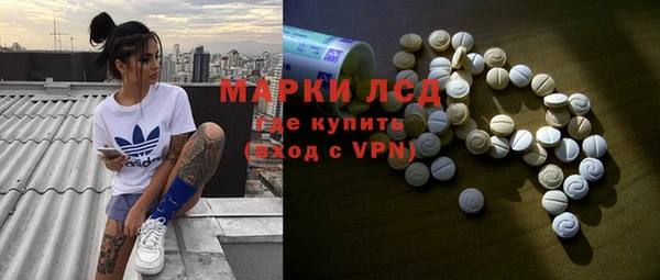 стаф Осинники