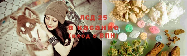 крисы Бронницы