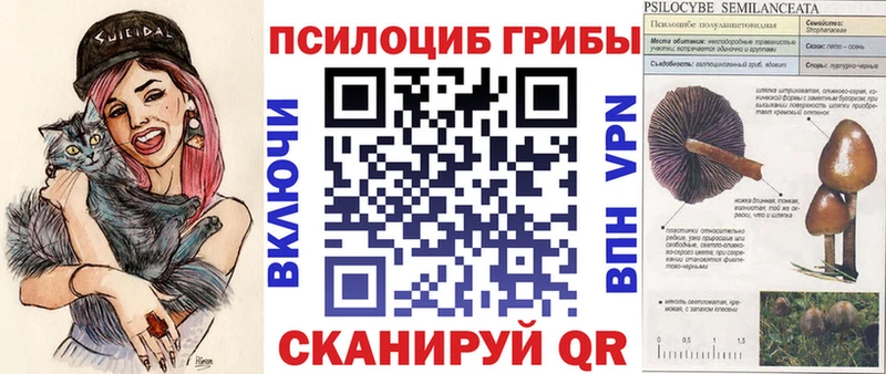Псилоцибиновые грибы ЛСД  Дегтярск 